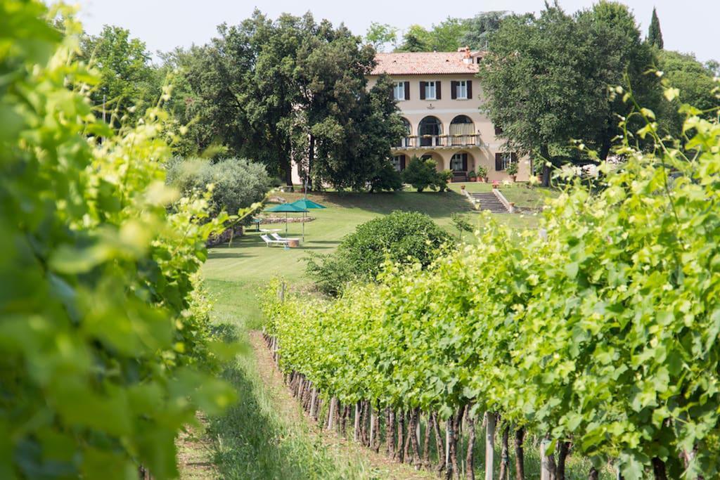 Villa Marani Rovolon Exterior photo